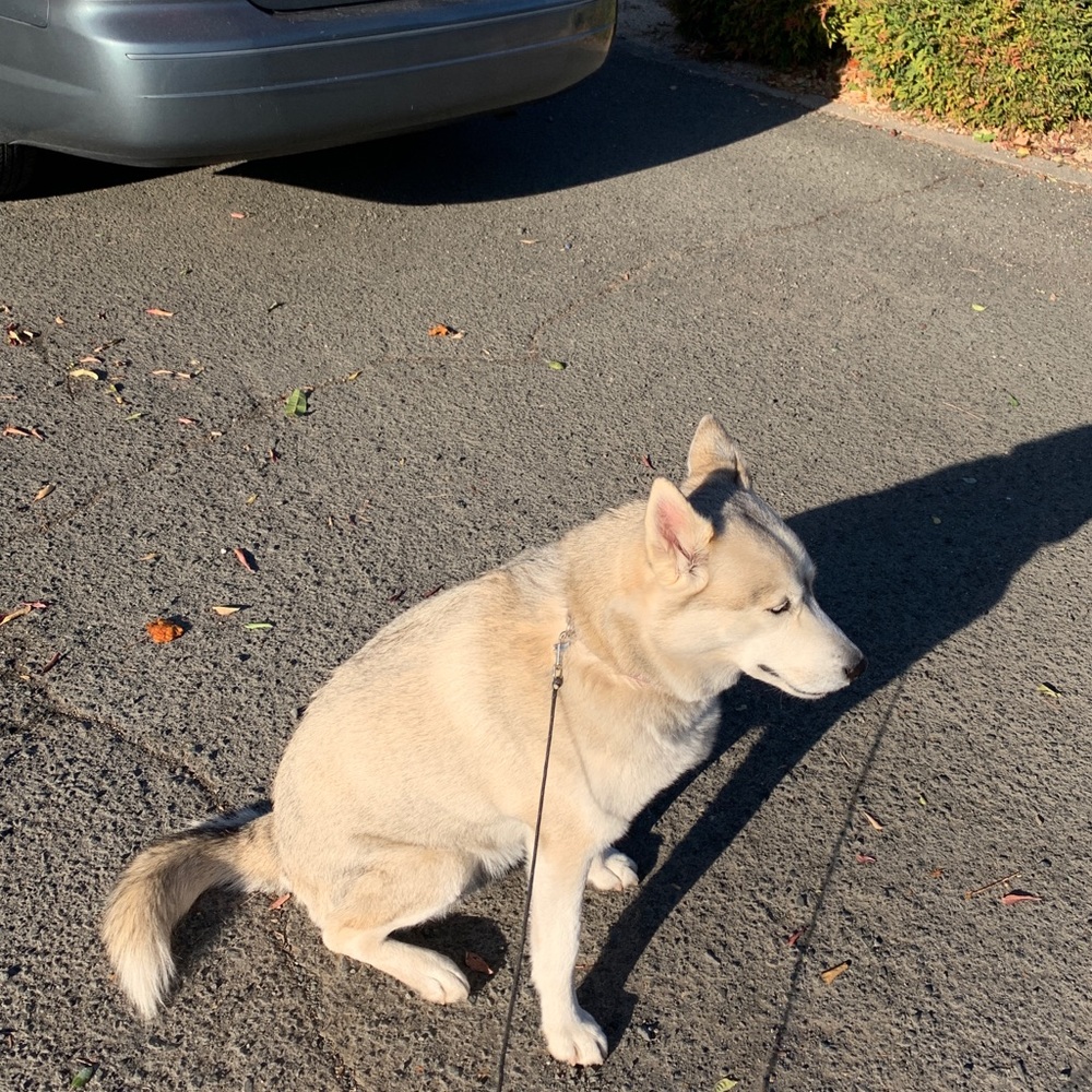 Meet your Posher, Vanessa